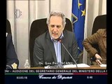 Roma - Audizione Magrassi, Segretario generale del Ministero della difesa (03.03.16)