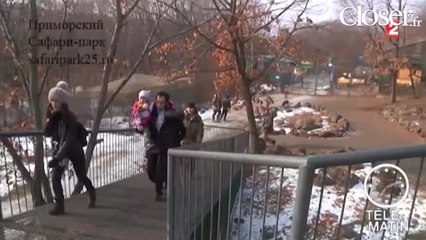 Zap Hebdo : Guy Bedos ferait bien une mise au "poing" avec Manuel Valls