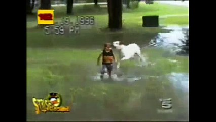 Funny positions- Odds children 2015