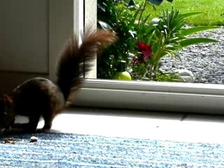 gourmandise: quand tu nous tiens