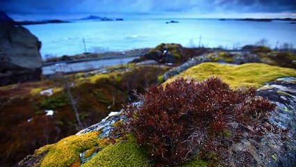 Gary moor Nothing's the same