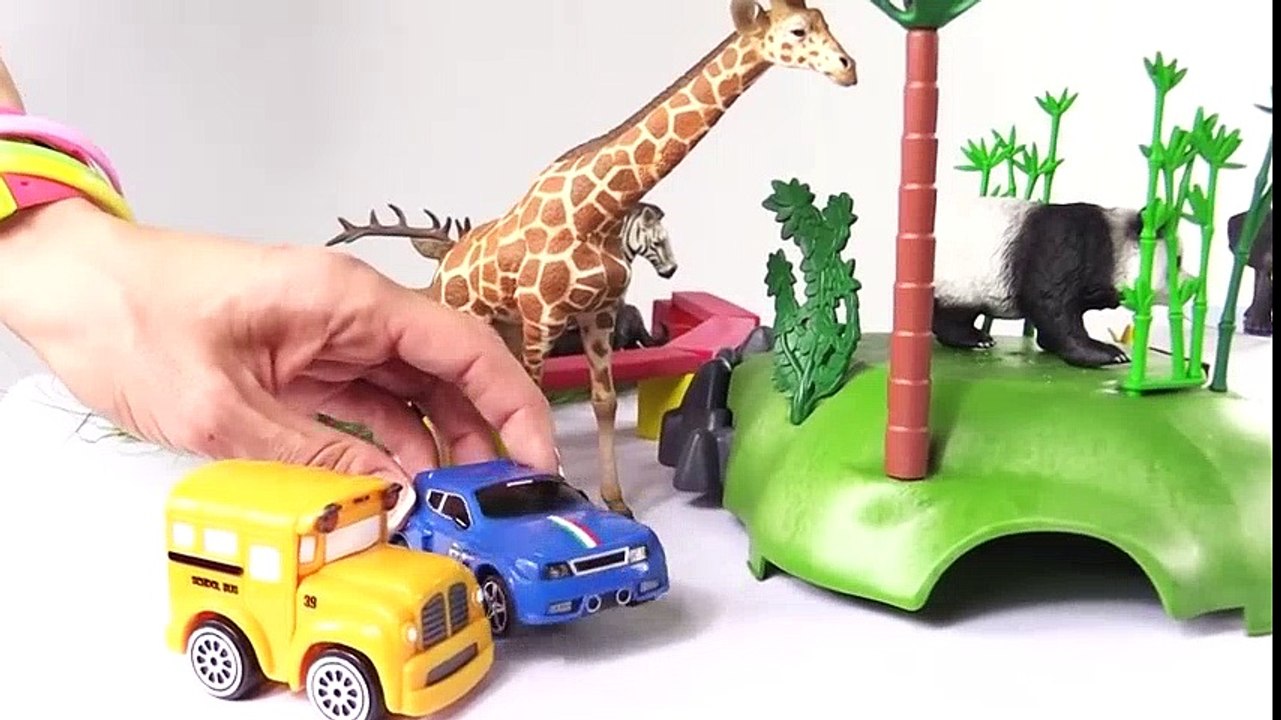 Voitures. Zoo. Dessin animé éducatif pour enfants. Speedy et Bussy visitent le Zoo: animaux sauvages  Dessins Animés Pour Enfants