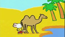 Chameau - Didou, dessine-moi un chameau |Dessins animés pour les enfants  Dessins Animés Pour Enfants