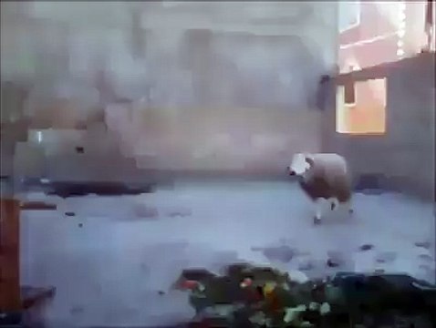 VID-20160304-WA0067.mp4