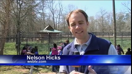 L'histoire d'amitié indéfectible entre un ours, un lion, et un tigre qui ne se quittent plus depuis 15 ans