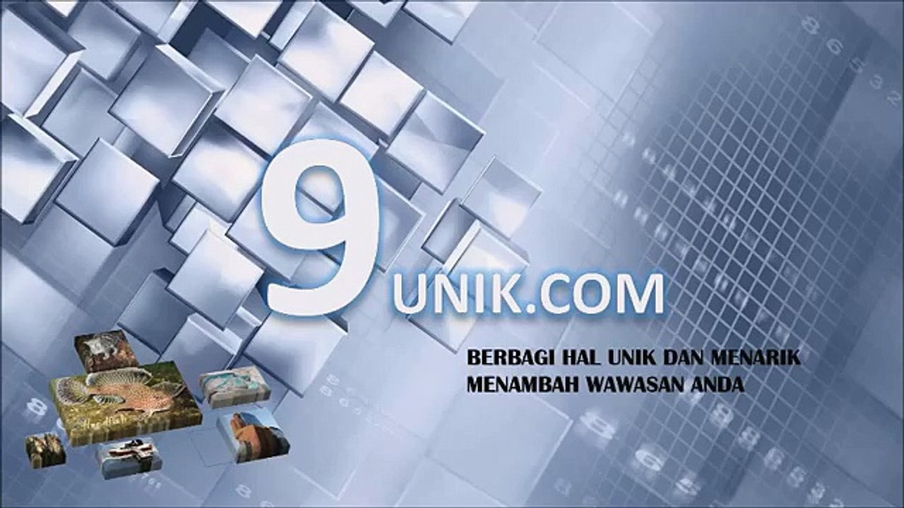 Lucu! Atlet Terjatuh Saat Turnamen Balapan Lari - 9Unik.com