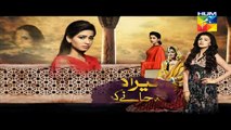 Mera Dard Na Jany Koi Episode 42 Promo HUM TV Drama 23 Dec 2015