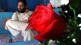 Tarak Shab Hai Lazaty Buatifull jihadi Tarana Umer Kashmiri