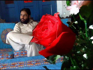 Tarak Shab Hai Lazaty Buatifull jihadi Tarana Umer Kashmiri