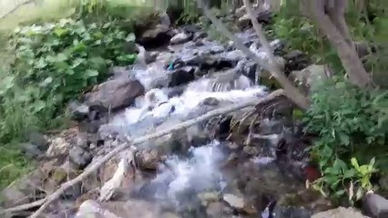 АЛМАТЫ ТАБИҒАТЫ