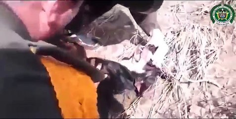 This Clip will Restore Your Faith in Humanity Once Again