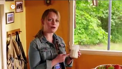 Löwenzahn 294 Bakterien Die Bärstadt Bazille