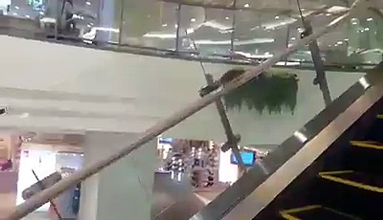 rat-on-an-escalator