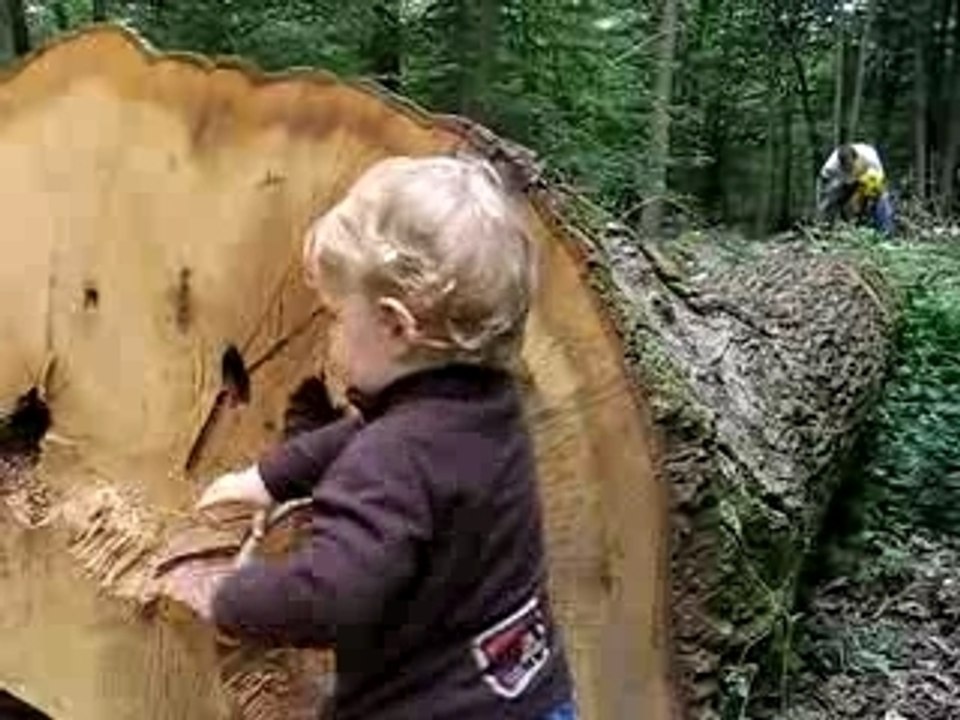 Garde forestier