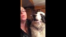 Dog Sings Along with Owner
