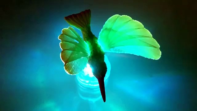 Светящаяся птица. Светящася зеленая колибри