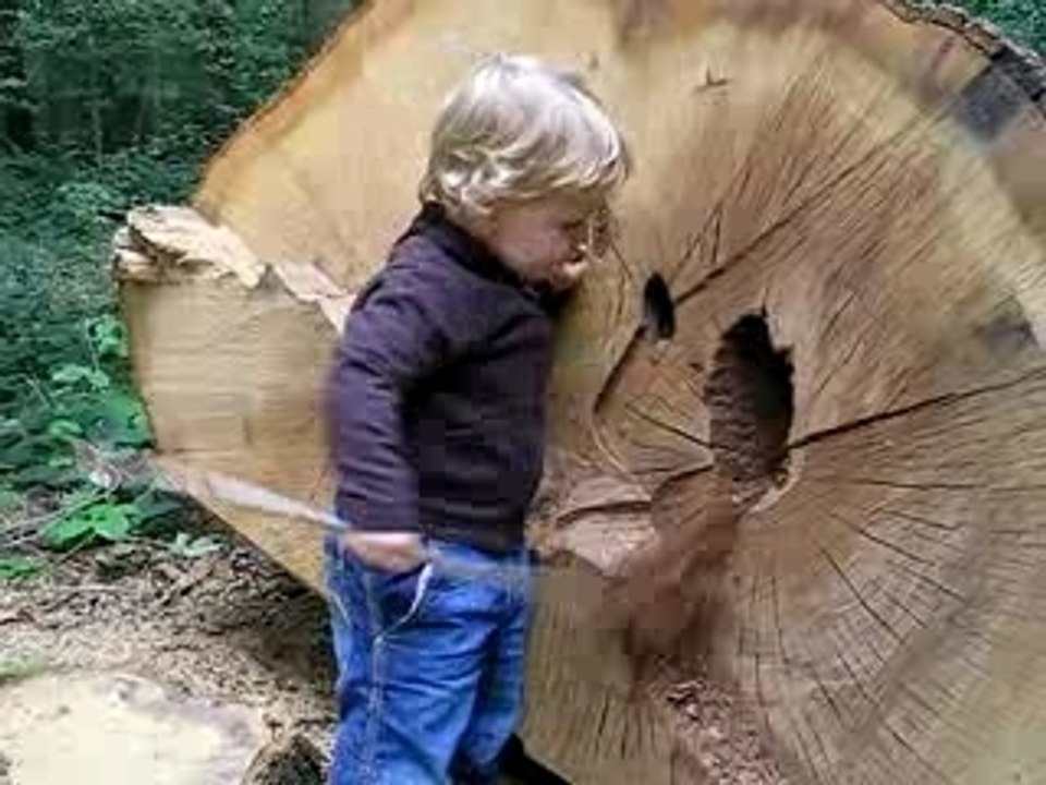 Garde forestier suite