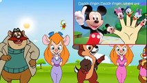 Chip and Dale Finger Family  Nursery Rhymes Lyrics 2 (Funny Videos 720p)