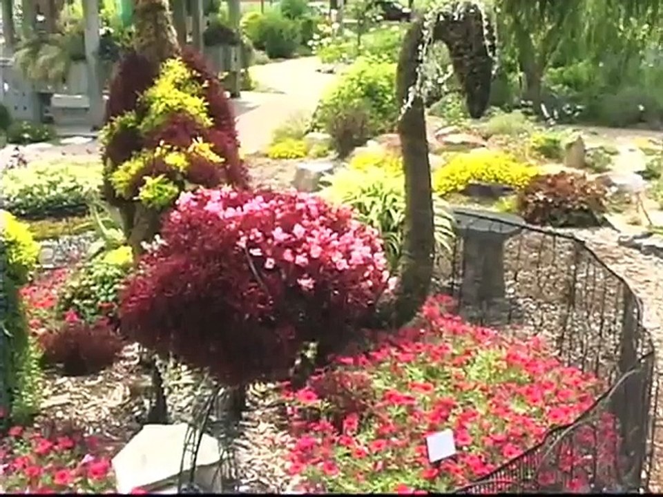 Container Topiary
