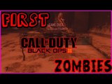 My First Call Of Duty Black Ops III Zombies 