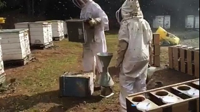 ΑΙΣΧΟΣ: Δείτε πως φτιάχνουν μελίσσια στο εξωτερικό. Η απόλυτη ντροπη των μελισσοκόμων