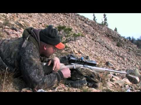 Intrepid Outdoors - Wyoming Trophy Mule Deer and Elk