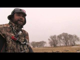 The Fowl Life - Kansas Geese