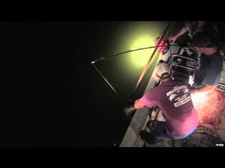 Dead Down Wind's Live the Wild Life - Gators