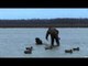 SportingDog Adventures - The Best, Most Inspiring and Humorous Moments