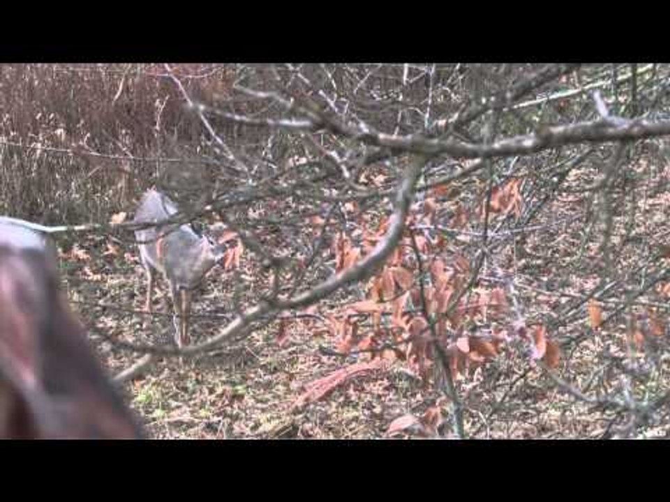 Adrenaline Junkies  - Sweet November