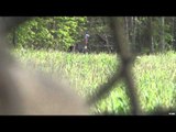 Excalibur's Huntin' the Backwoods - Gobbler Season