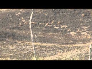 Predator Quest  - Nebraska Sandhills