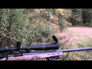 Dead Down Wind's Live the Wild Life - New York