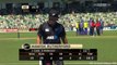James Anderson 5 wickets for 34 vs New Zealand 2nd ODI 2013 HD