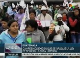 Guatemala: miles de campesinos marchan para exigir reformas en el agro