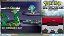 Lets Play Pokémon Schwarze Edition Part 58: Auf zur Pokémon-Liga!!