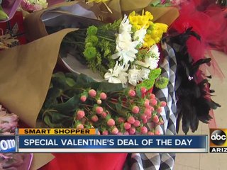 Smart Shopper Deal of the Day