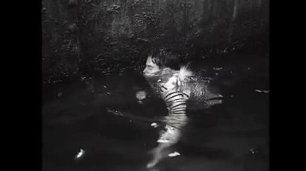 태양성카지노【 KOP77。COM 】실시간경마게임