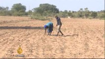 Zimbabwe declares 'state of disaster' due to drought