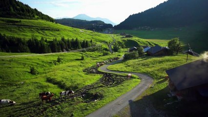 !f 2016 - The Seasons in Quincy: Four Portraits of John Berger