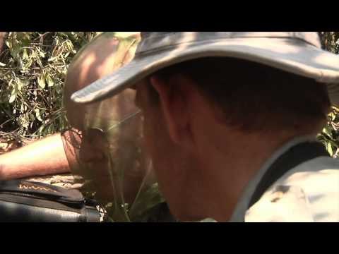 Dallas Safari Club's Tracks Across Africa - Operation Teeth & Claw Part 2