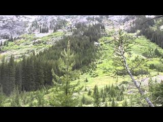 SOLO Hunter TV - Back Country Bruin with Remi Warren