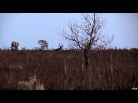 Buck Ventures Outdoors - MDK Hunts