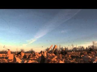 The Quest  - Turkey Hunting at its Finest