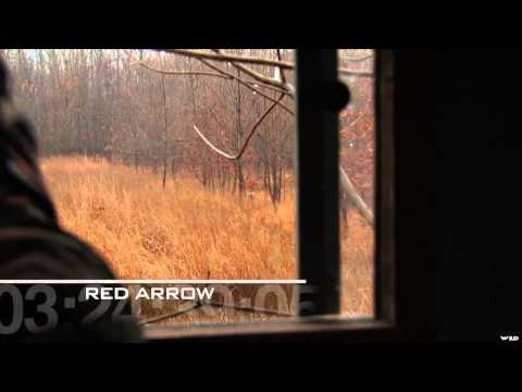 Top Outdoor Producer - Battle of the Last Day, Illinois Whitetail