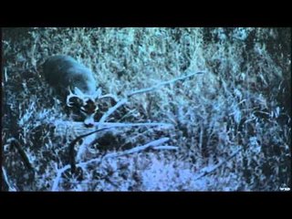 Yeti's Ultimate Hunt - Inside the Life of Mike Andrews