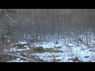 Trigger Effect - Pass, Pass...Shoot