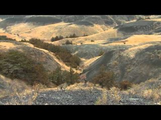 North American Hunter - SD Tribal Mule Deer/Nebraska Coyote