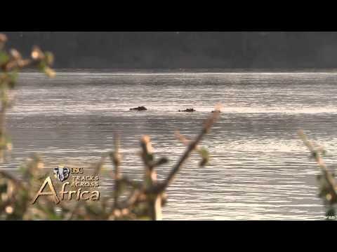 Dallas Safari Club's Tracks Across Africa - River Monsters