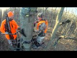 Top Outdoor Producer  - Lock and Load, Illinois Whitetail